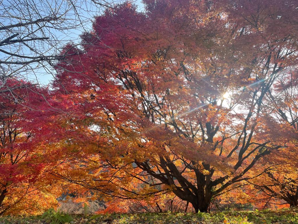 ♪大分県内コンフォートエリアご紹介♪