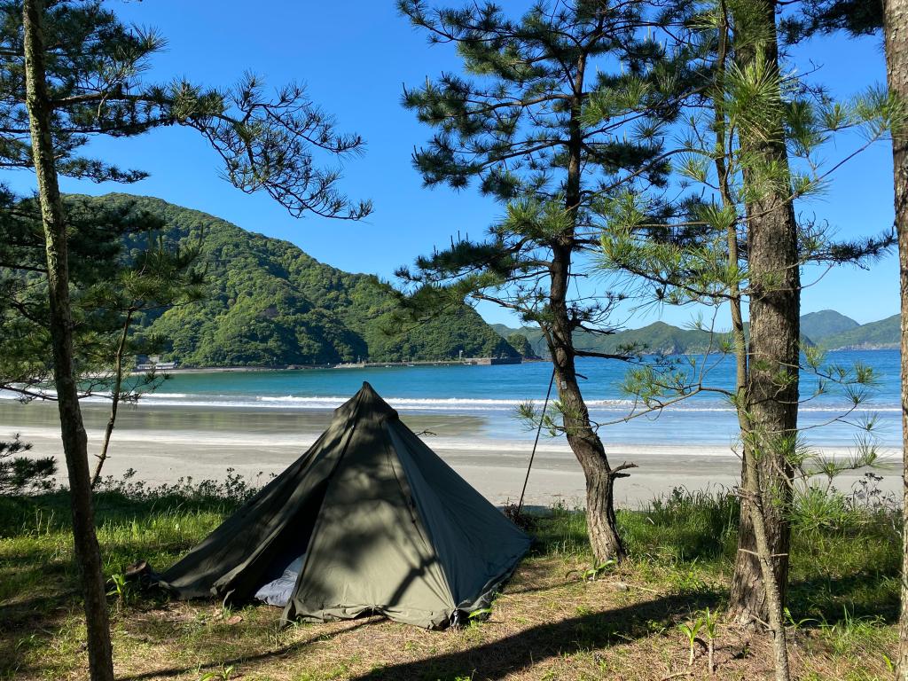 夏が来ます