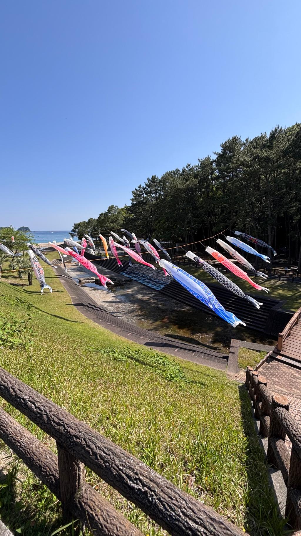 鯉のぼり