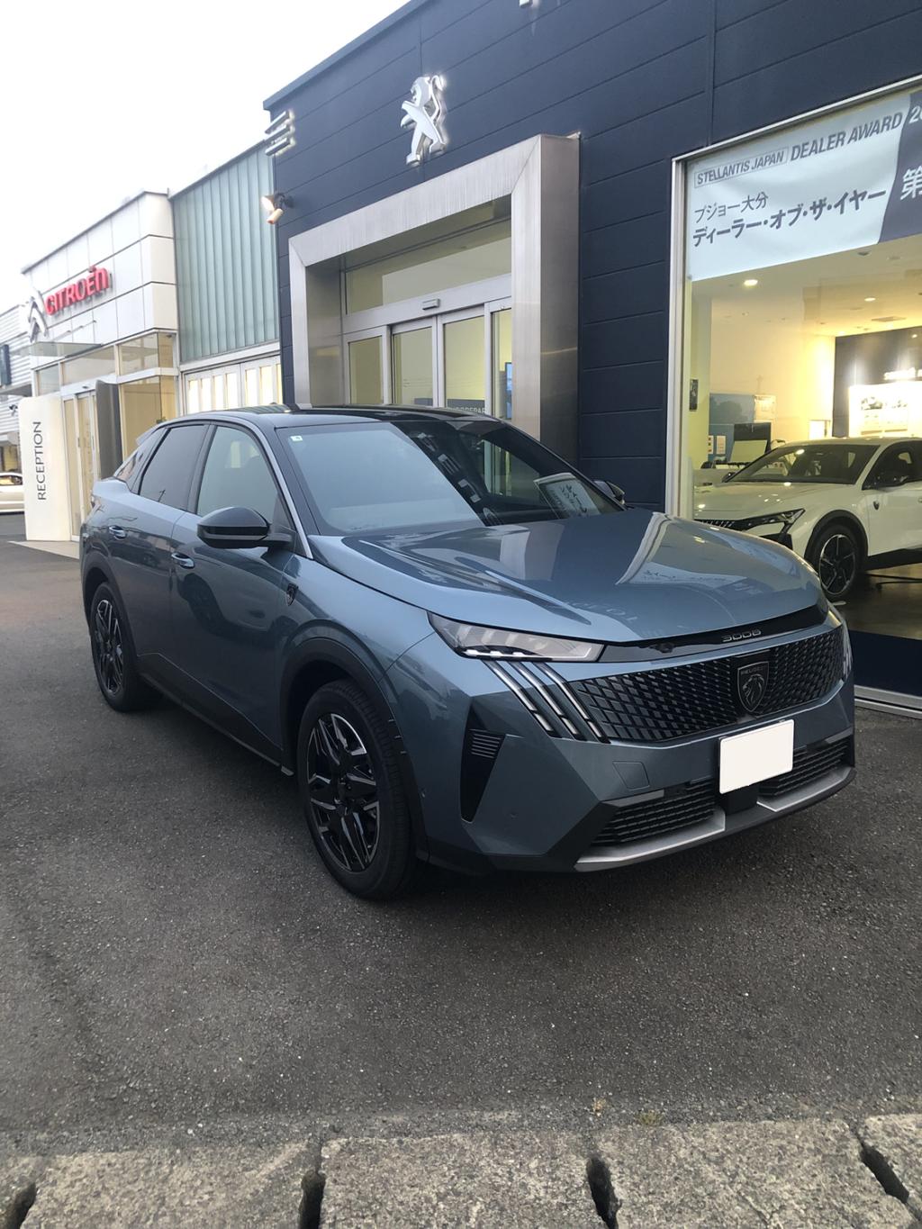 NEW3008 HYBRID アルカンタラパッケージ　（インテリア）