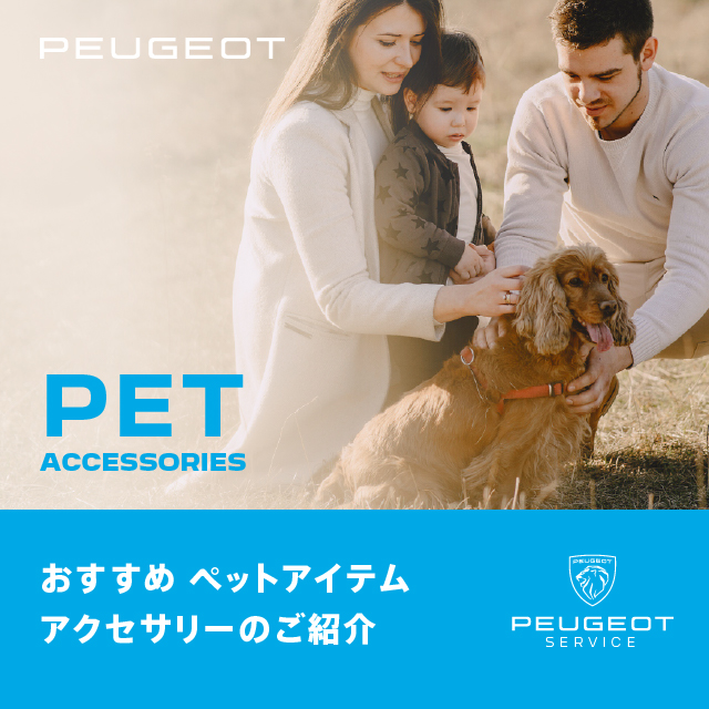 ペットアイテムのご紹介🐾