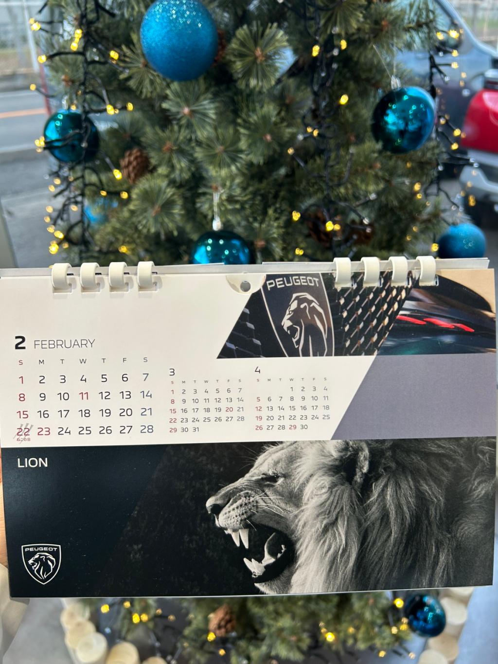 『PEUGEOT LION WINTER FAIR』開催中🦁