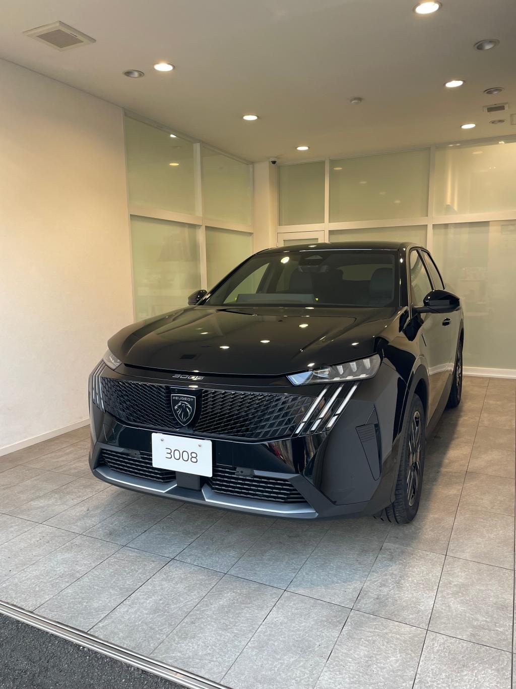 3008 GT HYBRID Black Edition  エクステリア