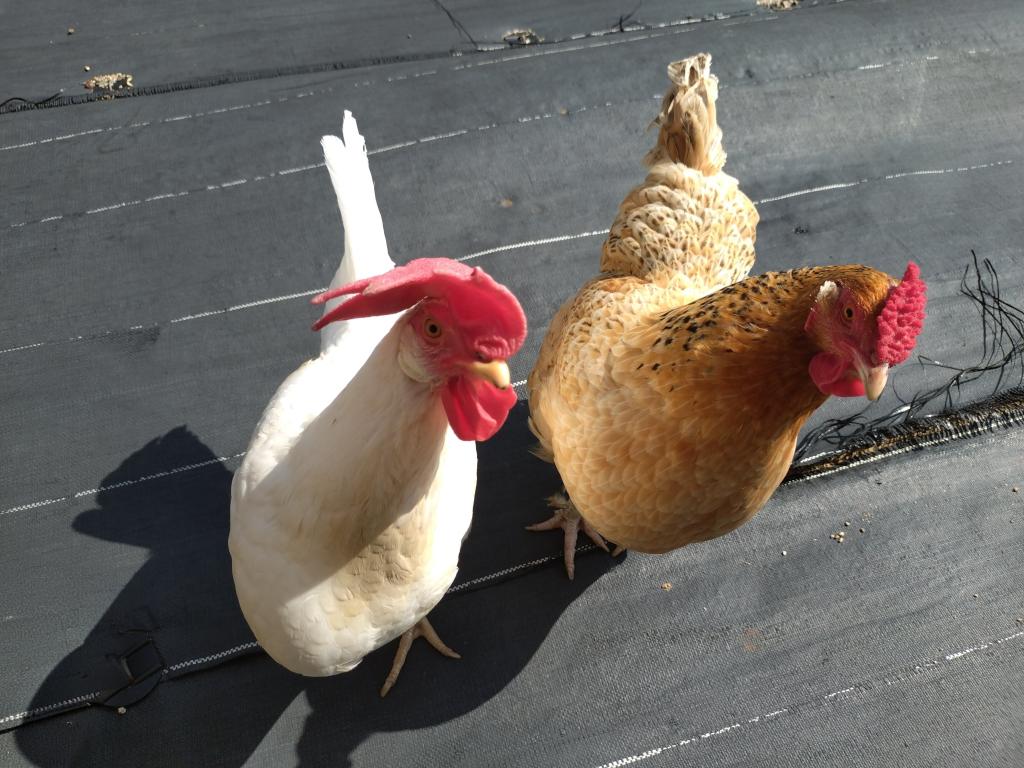 えっ？ウソでしょ！？