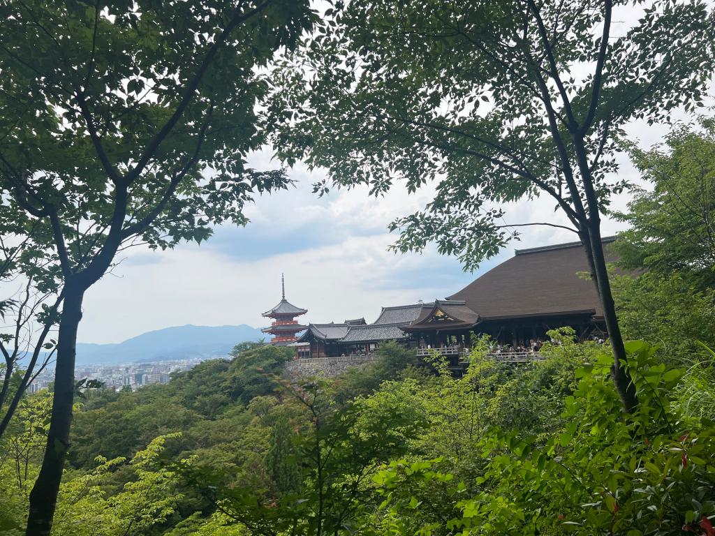 京都・大阪　食べ歩きしました！