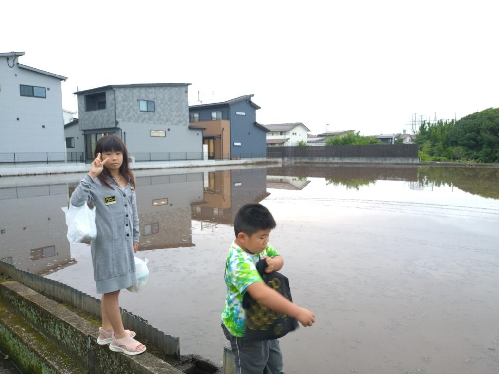 田植えの季節！