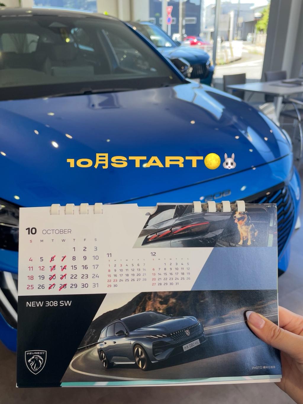 10月START！🌕🐰